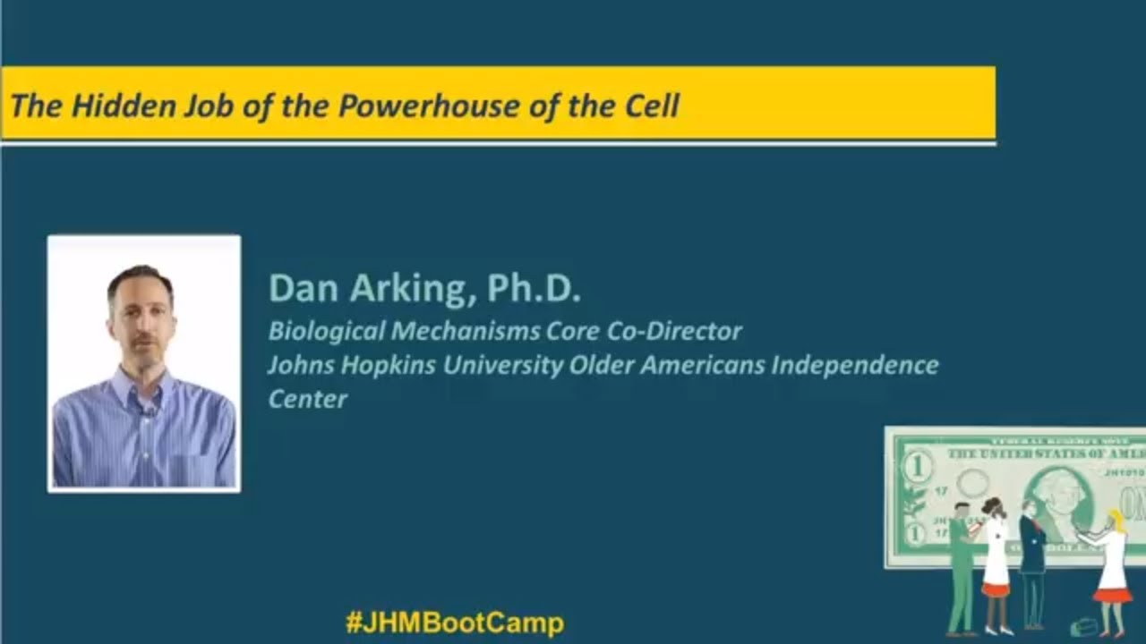 The Hidden Job of the Powerhouse of the Cell | Dan Arking, Ph.D. - YouTube