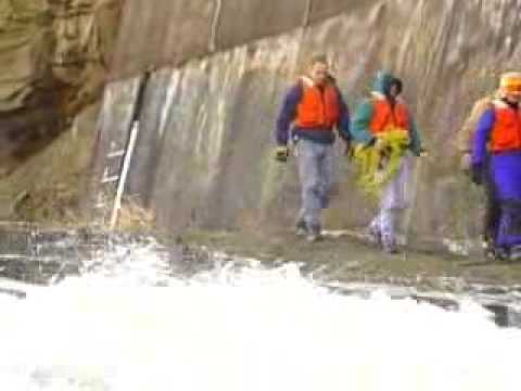 Daring Rescue: Dogs Saved From Ledge Near Rushing Water