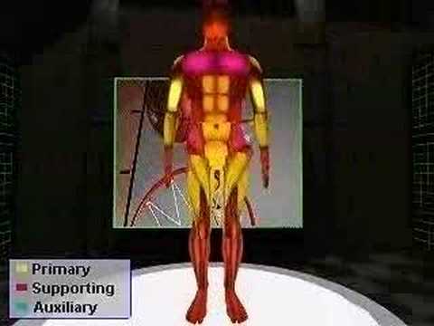 YouTube - Muscles used in Basketball
