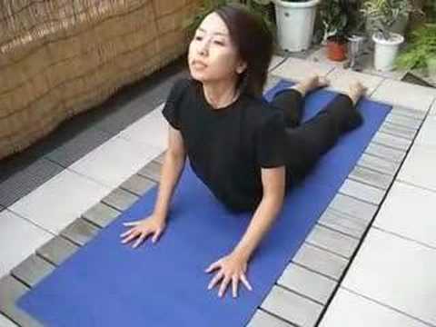 YouTube - What's the Deal with Cobra and Upward Dog?