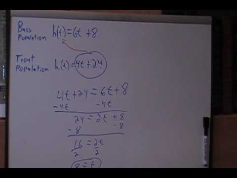 System of Equations Fish Problem 2