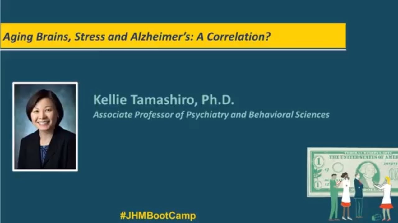 Aging Brains, Stress and Alzheimer’s: A Correlation? | Kellie Tamashiro, Ph.D. - YouTube