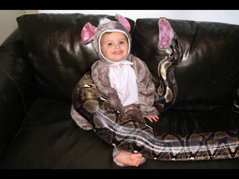 Boys Tragic Death Could Have Happened To Any Family With 20-Foot Pet Python