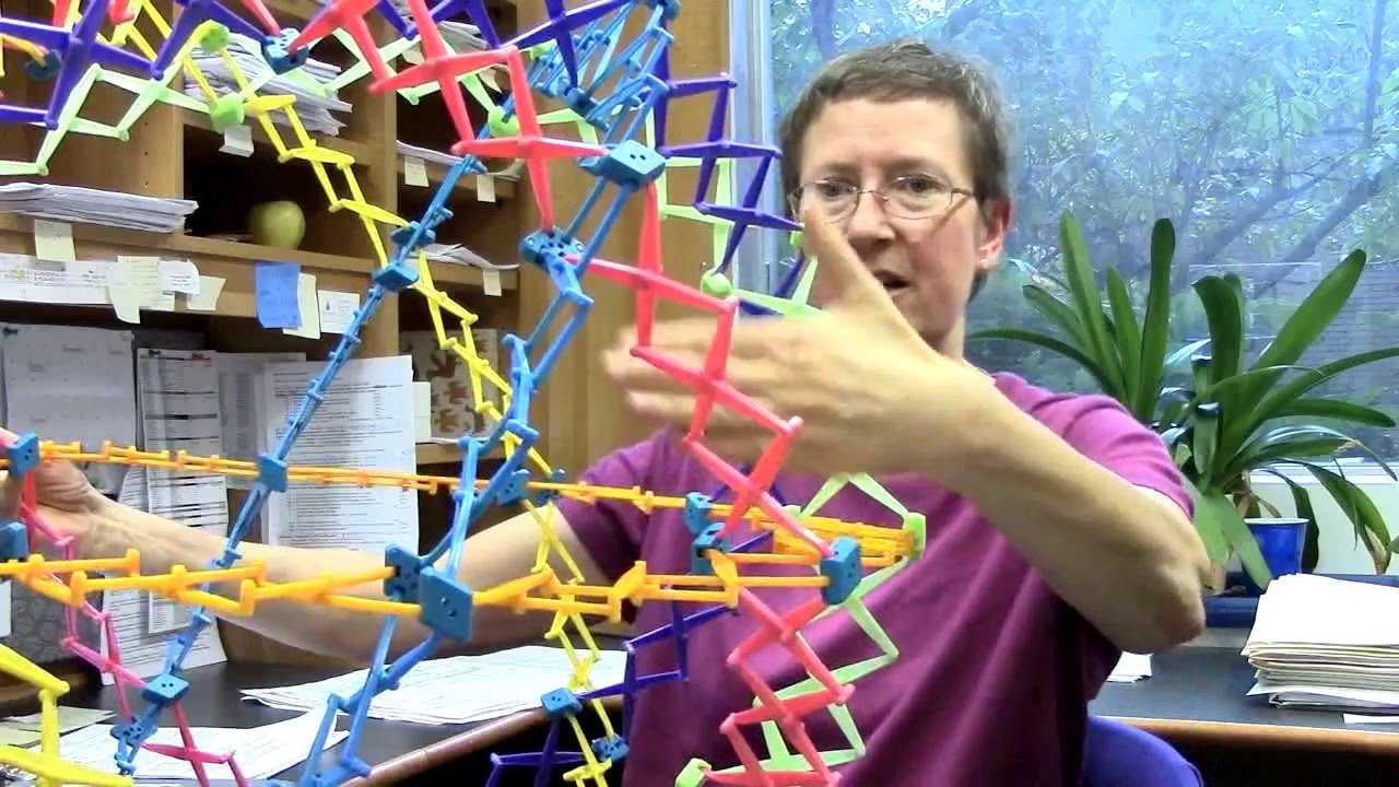 Katherine Wilson on the Structure of the Nucleus - YouTube