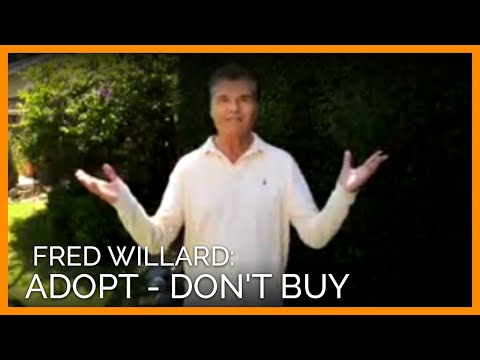 YouTube - Fred Willard's Animal Birth Control Ad