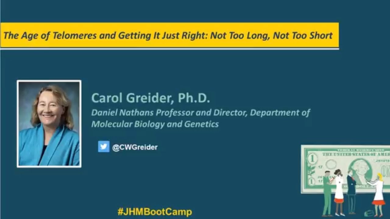 The Age of Telomeres and Getting It Just Right: Not Too Long, Not Too Short | Carol Greider, Ph.D. - YouTube