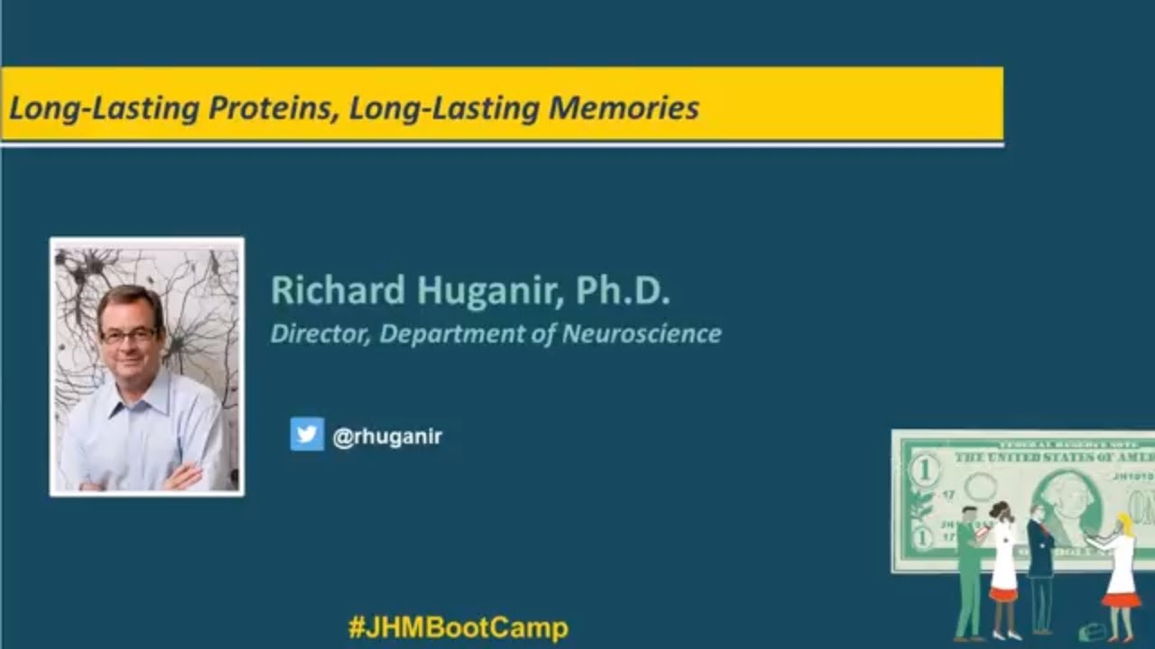 Long Lasting Proteins, Long Lasting Memories | Richard Huganir, Ph.D. - YouTube