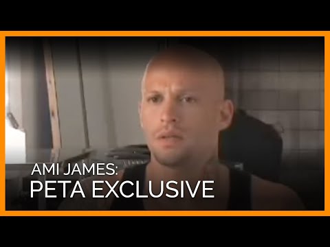 YouTube - Ami James Interview