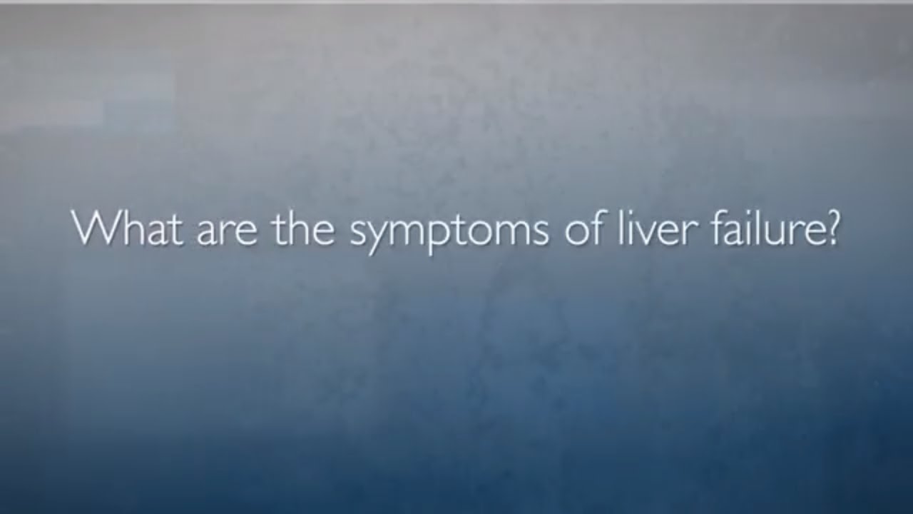 Liver Failure | FAQ with Dr. Amy Kim - YouTube